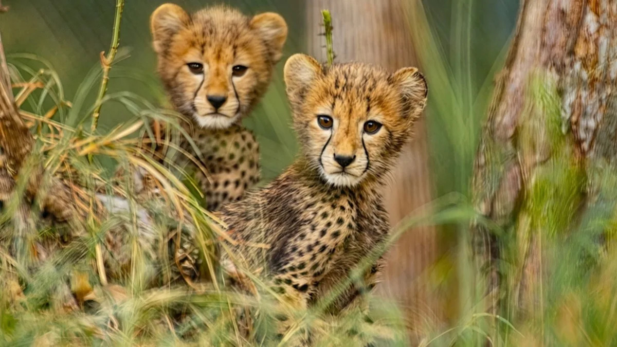 Yahoo lifestyle home