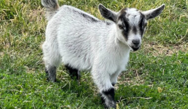 Yahoo lifestyle home