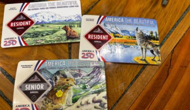 Boulder artist creates nature-themed stickers to cover new National Park Pass design