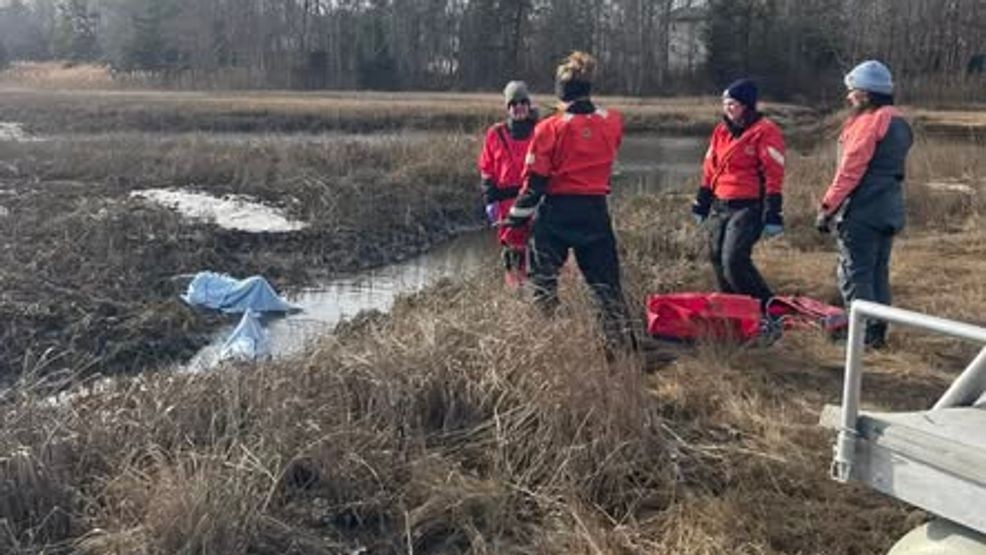 Crews working to rescue the dolphins from the creek.{ } (Wareham Department of Natural Resources)