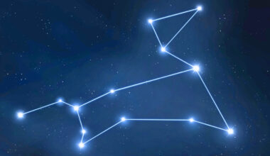 Close Brush With 'Cosmic Dog' May Still Be Seen at Solar System's Edge : ScienceAlert