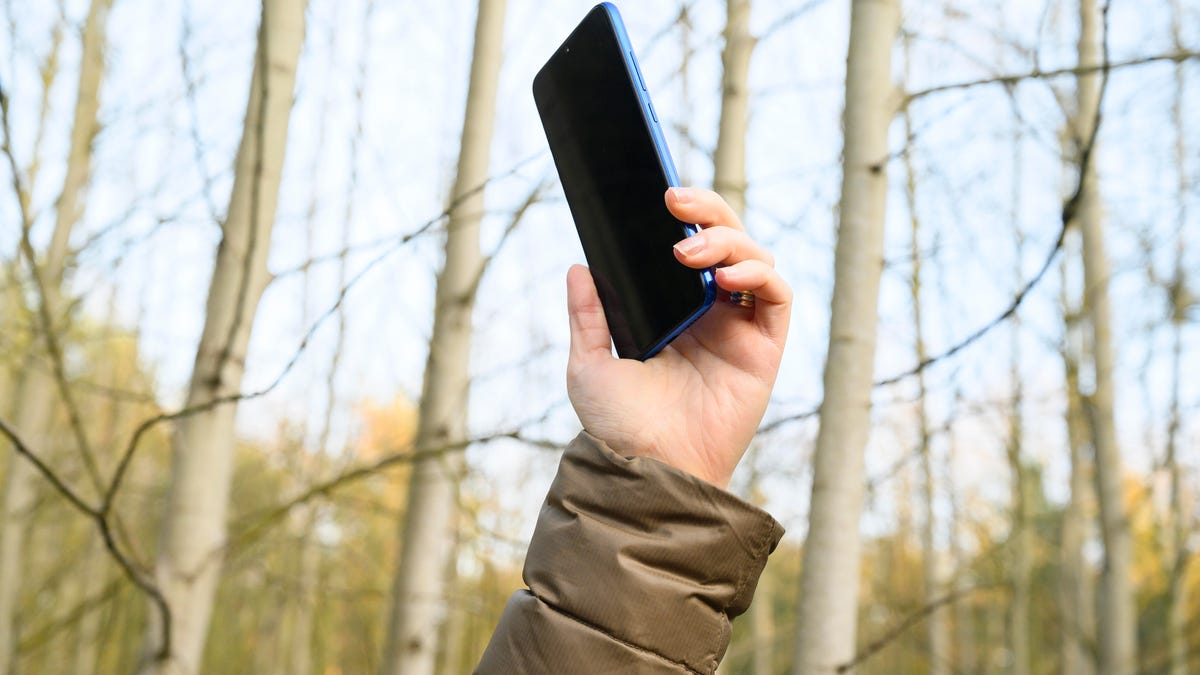 A hand holds up a black cellphone in front of a bunch of bare trees