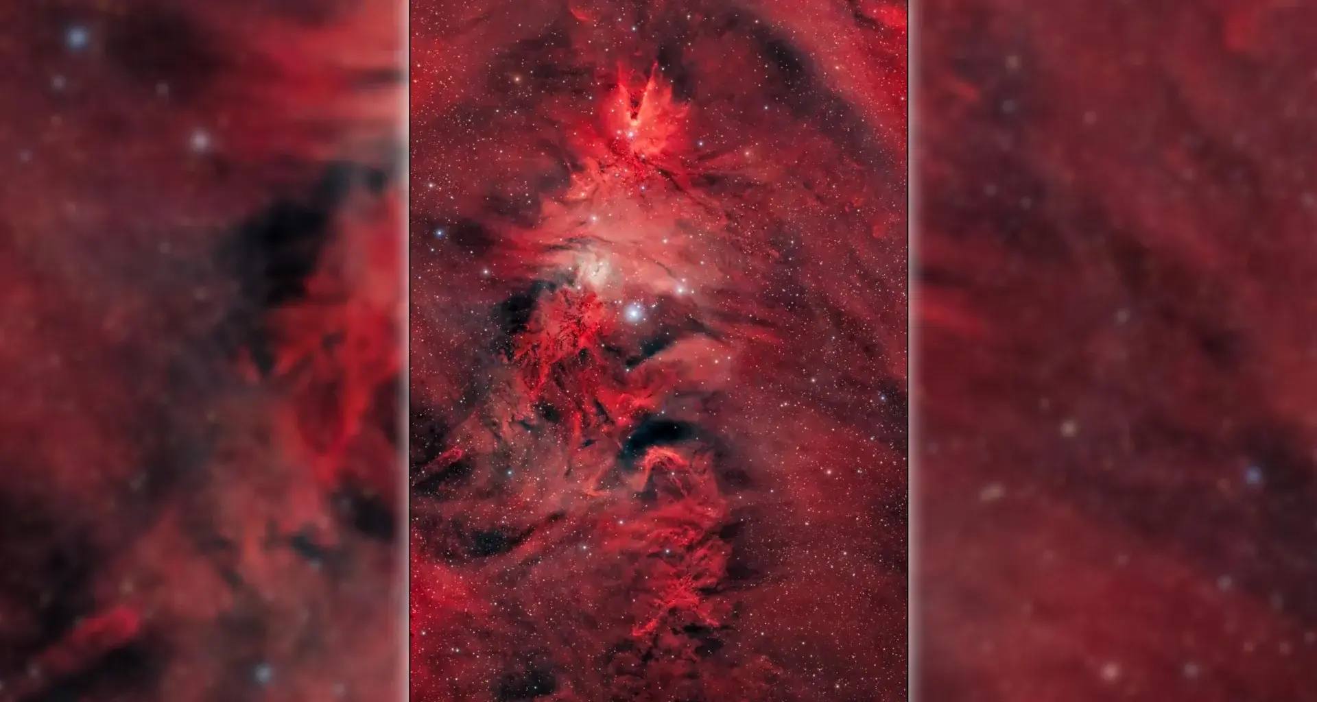 A Christmas tree 80 light-years wide appears in space