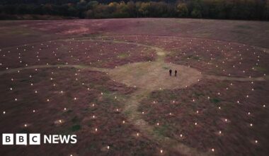 Lanterns reveal scale of Echo Wood living trees artwork