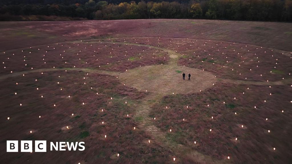 Lanterns reveal scale of Echo Wood living trees artwork