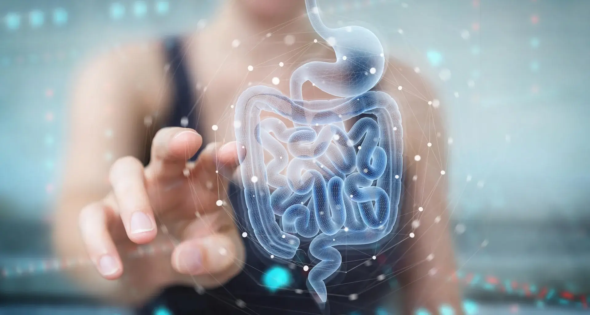 Harvard gut discovery could change how we treat obesity and diabetes