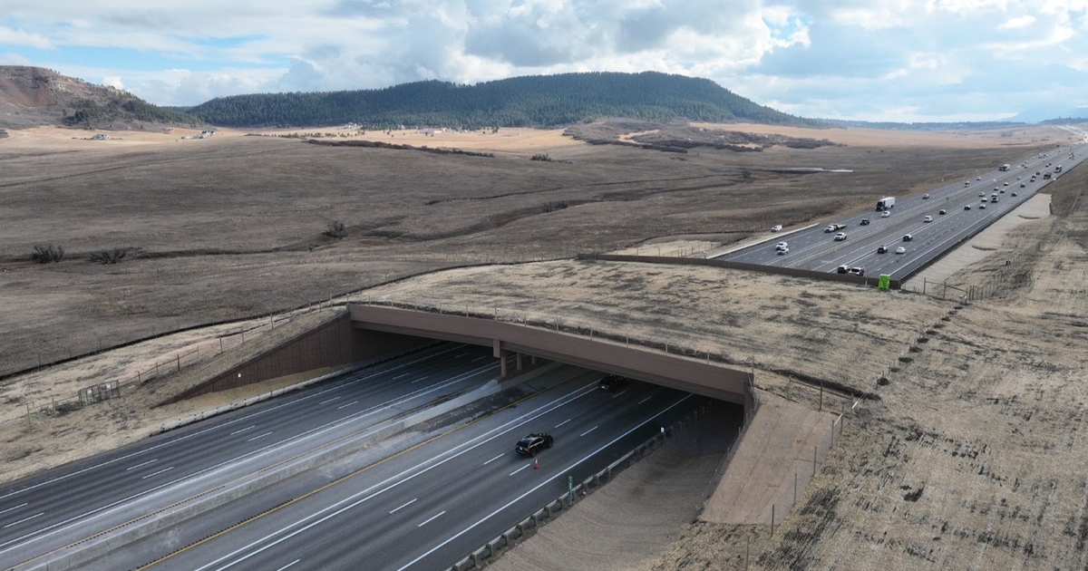 Largest wildlife overpass in North America opens in Colorado: "It's a win-win"