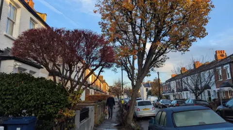 Nisha Patel/BBC Larger tree which is leaning slightly to the right towards the road. It sits street with terrace houses on either side and cars on the road. 