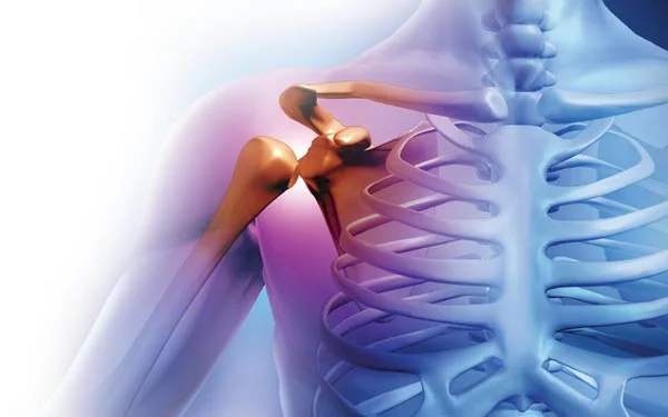 Science Proves the Benefits of a Traditional Brazilian Plant for Treating Arthritis