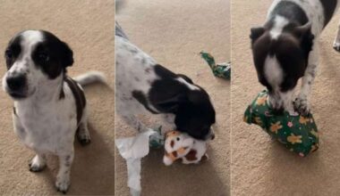 Yahoo lifestyle home