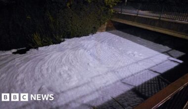 River Skerne foam had no environmental impact, says EA
