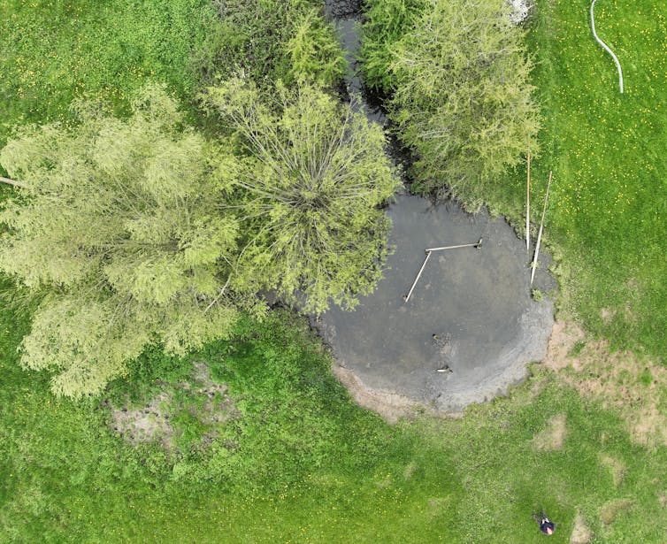 UAV-derived aerial image depicting a freshwater pond encircled by mixed grassland, with a stand of mature trees along the pond’s upper edge and a person visible near the lower margin of the frame