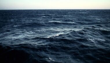 Symposiums - Reverse Shot