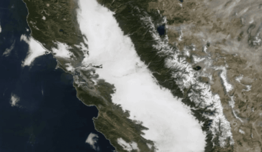 Tule Fog: What Is The Radiation Fog Lingering Over California's Central Valley?