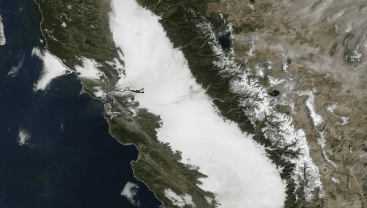Tule Fog: What Is The Radiation Fog Lingering Over California's Central Valley?