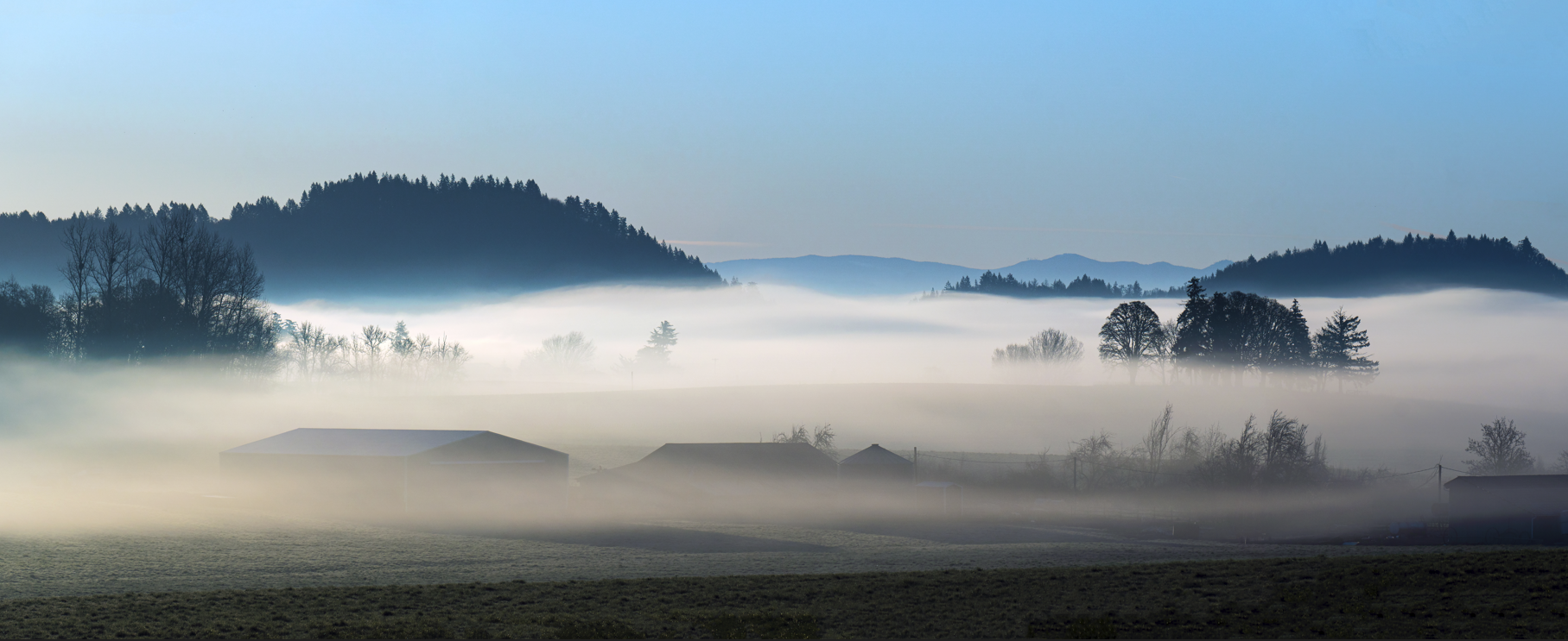 Morning tule fog hangs over a valley.