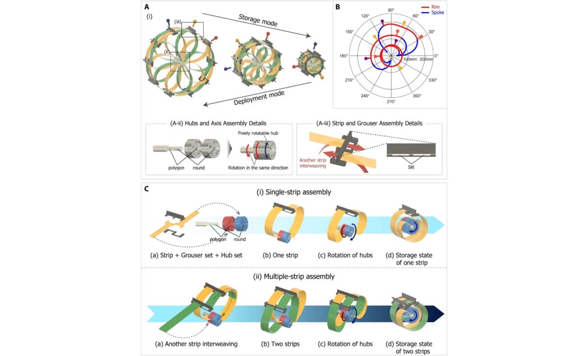 Geometrical Description Of The Wheel Structure And Coiling Mechanism