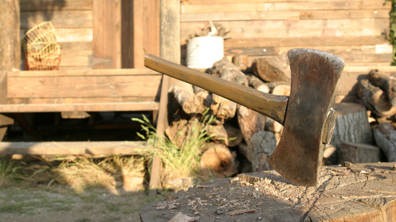 The hatchet from Hatchet