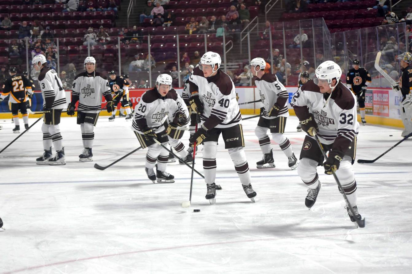 Hershey Bears wear 'Skating Bear' jersey