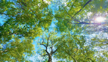 Hopewell Township Announces Winners of 2025 Community Photo Contest