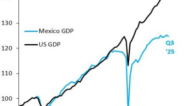 Mexico's Growth Stagnation - Robin J Brooks