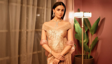 Pakistani Fan Asks Alia Bhatt If She'll Ever Visit The Country, Her Reply Goes Viral | Bollywood News