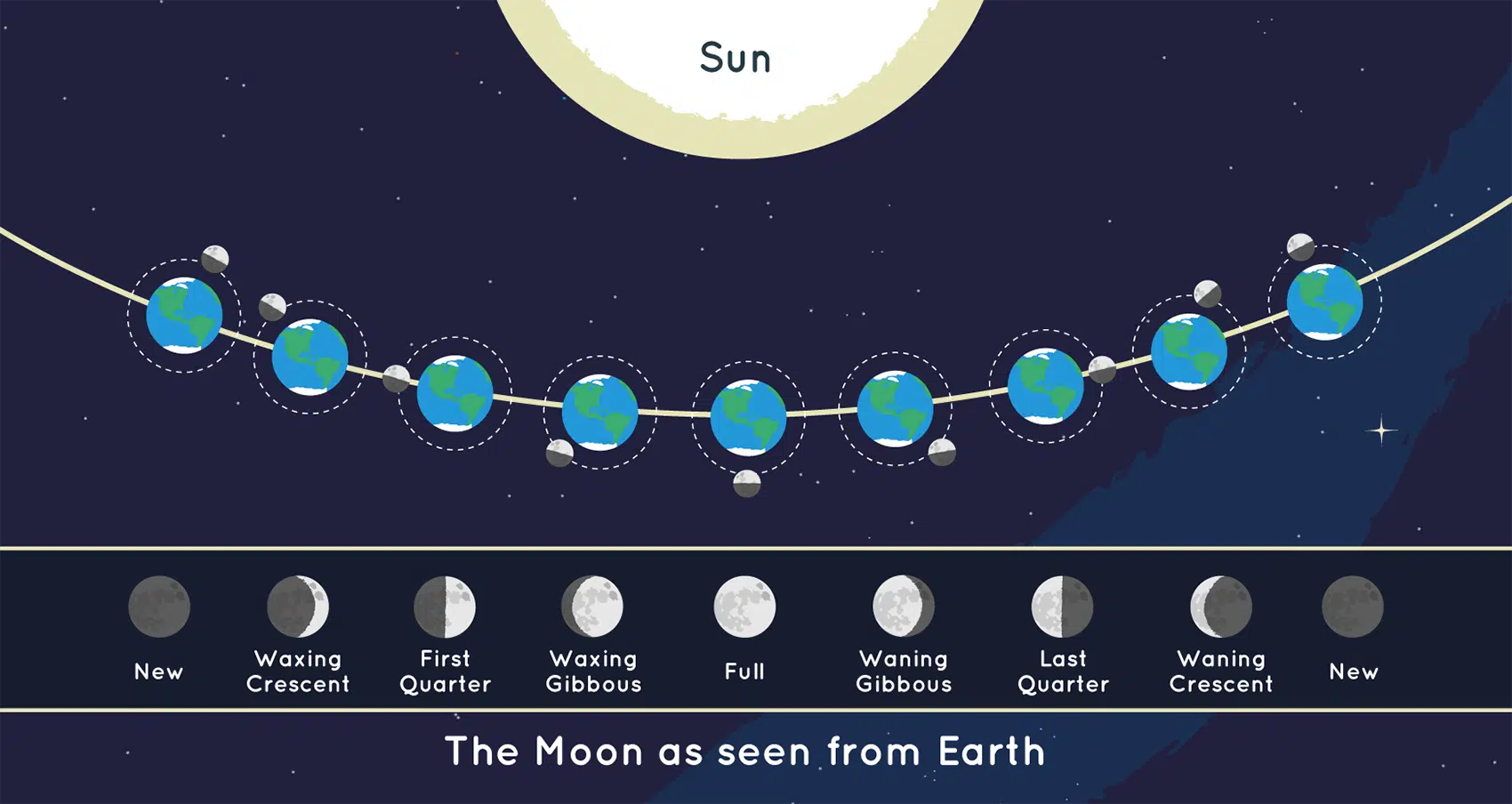 This graphic shows the position of the Moon and the Sun during each of the Moon’s phases and the Moon as it appears from Earth during each phase. Not to scale.
NASA/JPL-Caltech