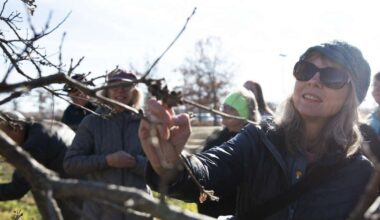 A decade later, Iowa Master Naturalists program continues to thrive on one woman’s vision
