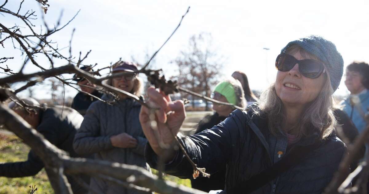 A decade later, Iowa Master Naturalists program continues to thrive on one woman’s vision