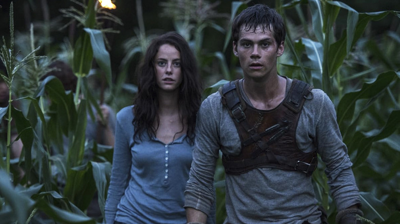 Dylan O'Brien's Thomas and Kaya Scodelario's Teresa stand in a cornfield in The Maze Runner