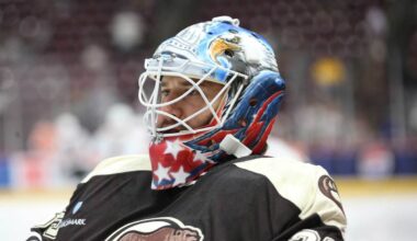 Capitals seem likely to call up goaltender after Hershey Bears recall Mitch Gibson from ECHL
