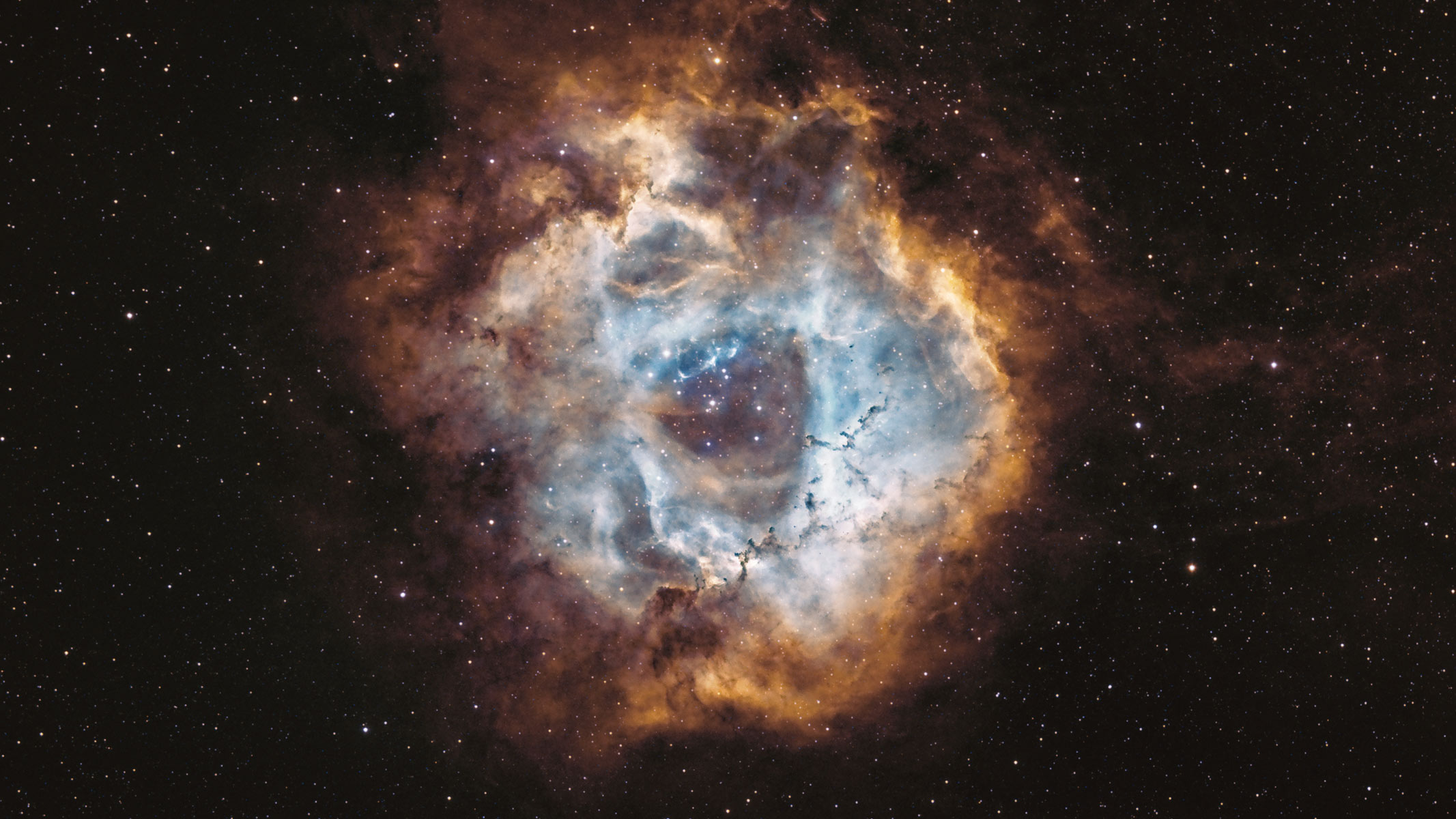 The Rosette Nebula.