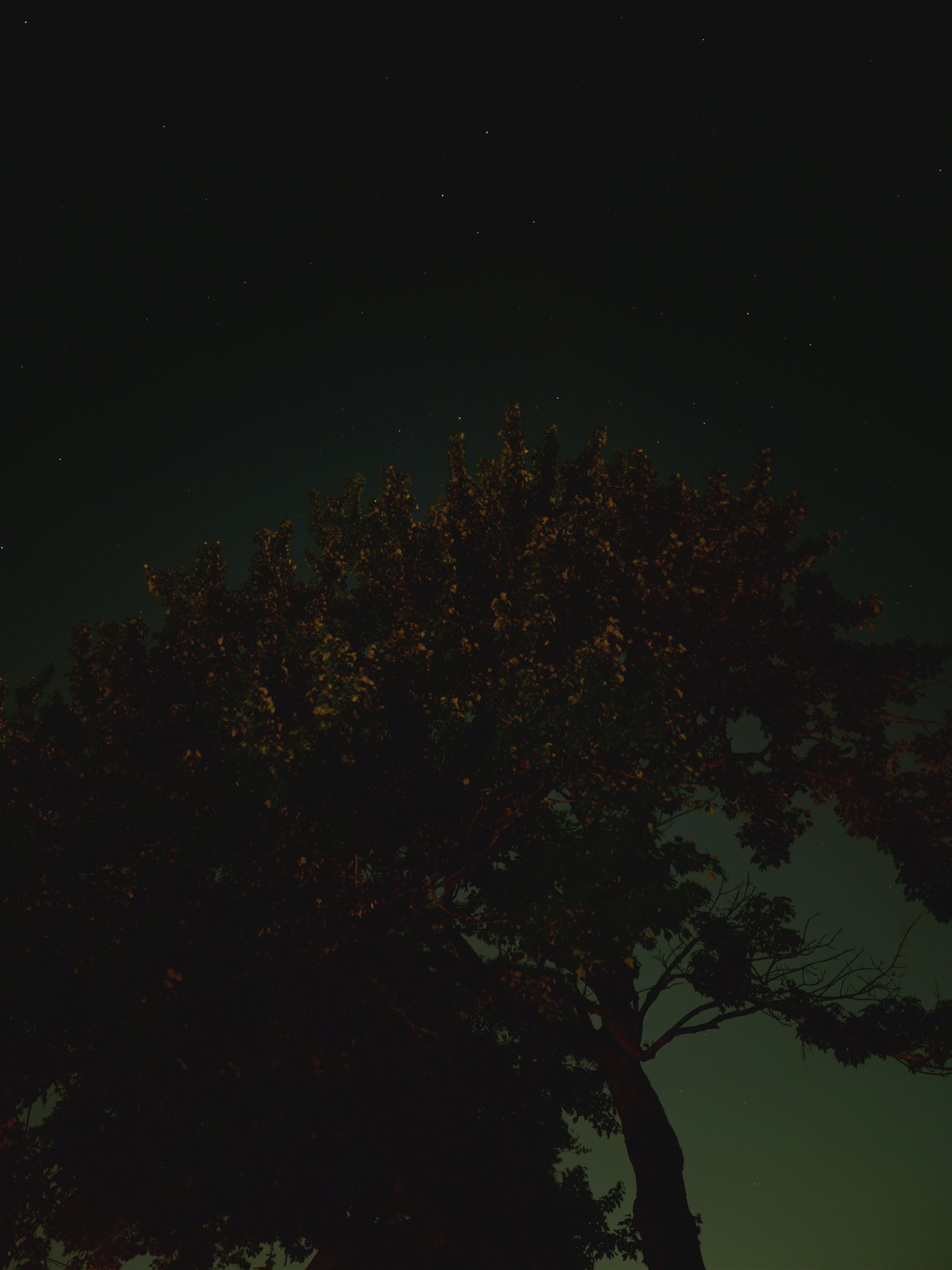 Galaxy Z Flip 7 astrophotography sample.