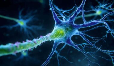 Neuroscience News logo for mobile.