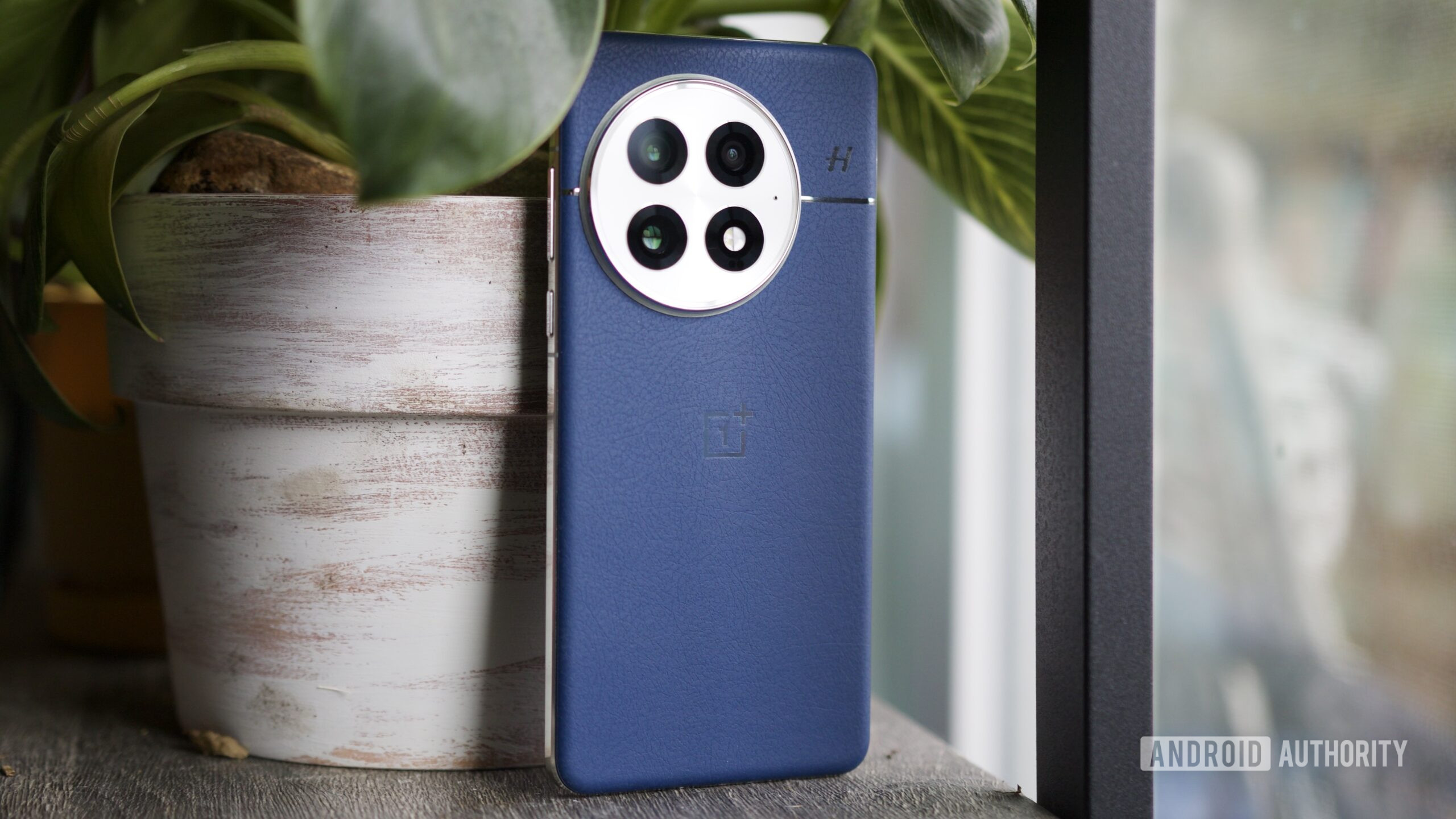 The blue OnePlus 13 standing upright.