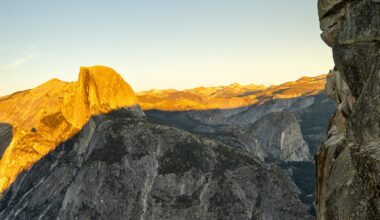 2026--Another Year Of Living Audaciously!