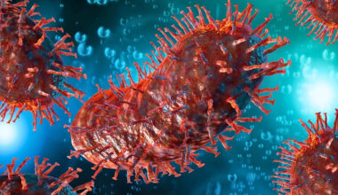 US Man Dies From Rabies After Receiving Infected Kidney : ScienceAlert