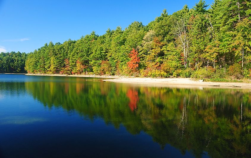 Beautiful scenery at the Walden Pond State Reservation.