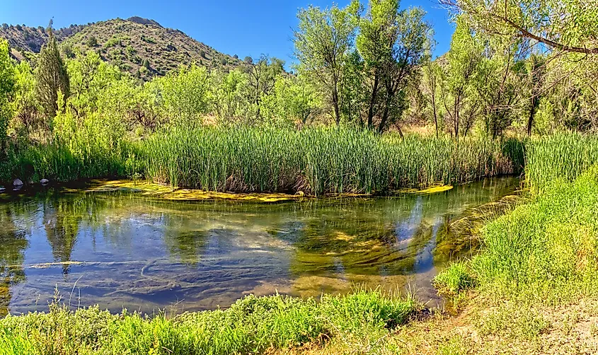 The Verde River just west of Stewart Ranch in the Upper Verde River Wildlife Area.