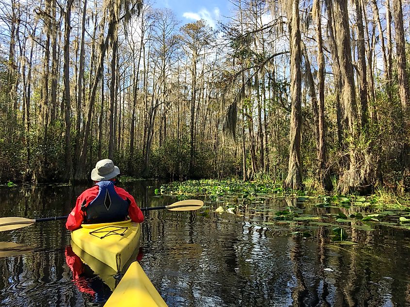 Kayaking in Okefenokee National Wildlife Refuge.
