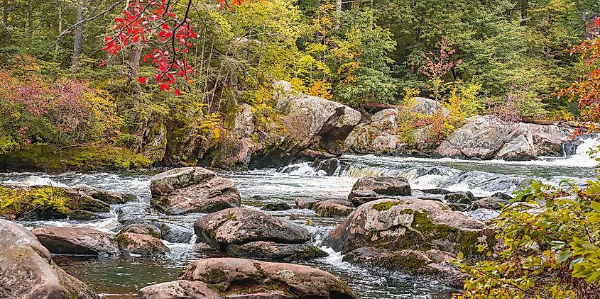 Fall foliage lining the Merrimack River in Merrimack, New Hampshire.