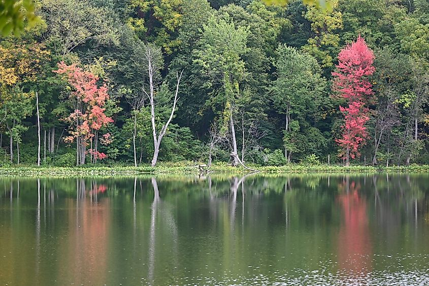 Fall colors at Chain O' Lakes State Park in Indiana.