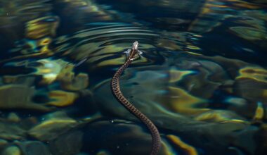 The Most Snake Infested Rivers In Oregon