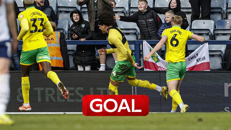 norwich goal