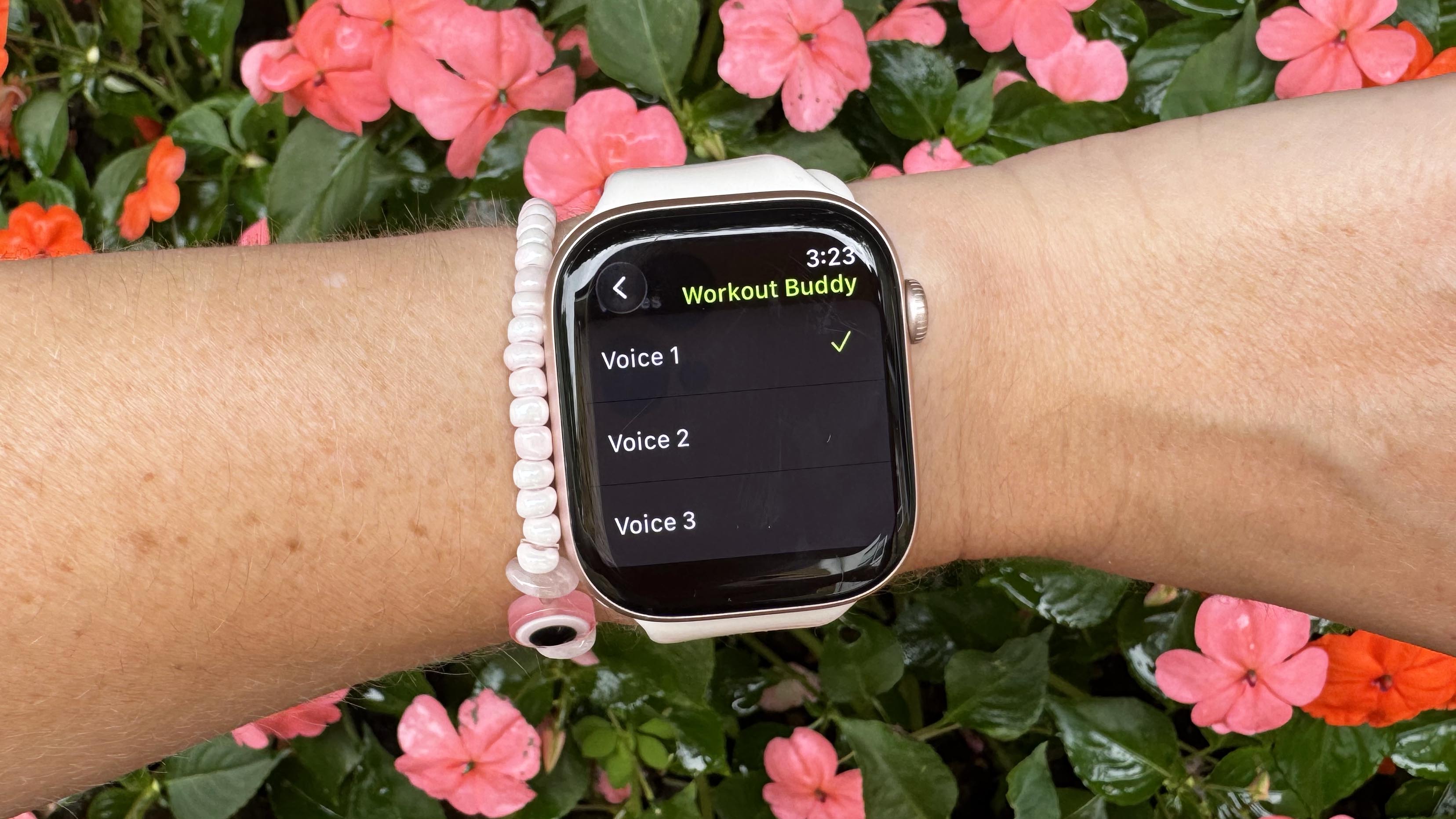 Apple Watch Workout Buddy