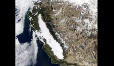 What Is The Tule Fog, And Will It Ever Go Away?