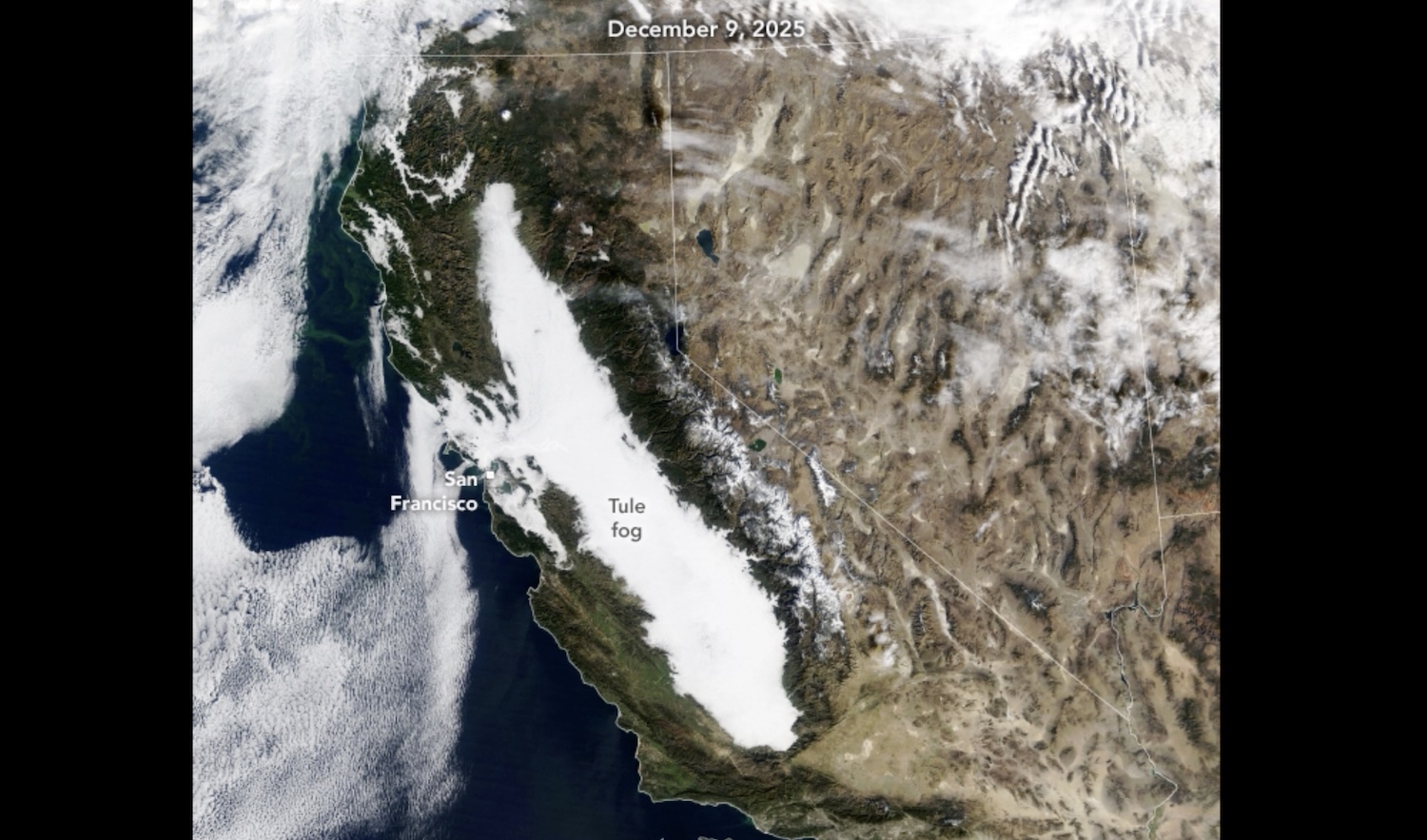 What Is The Tule Fog, And Will It Ever Go Away?