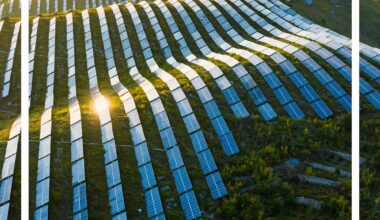 Outlook 2025 – Centre for Research on Energy and Clean Air