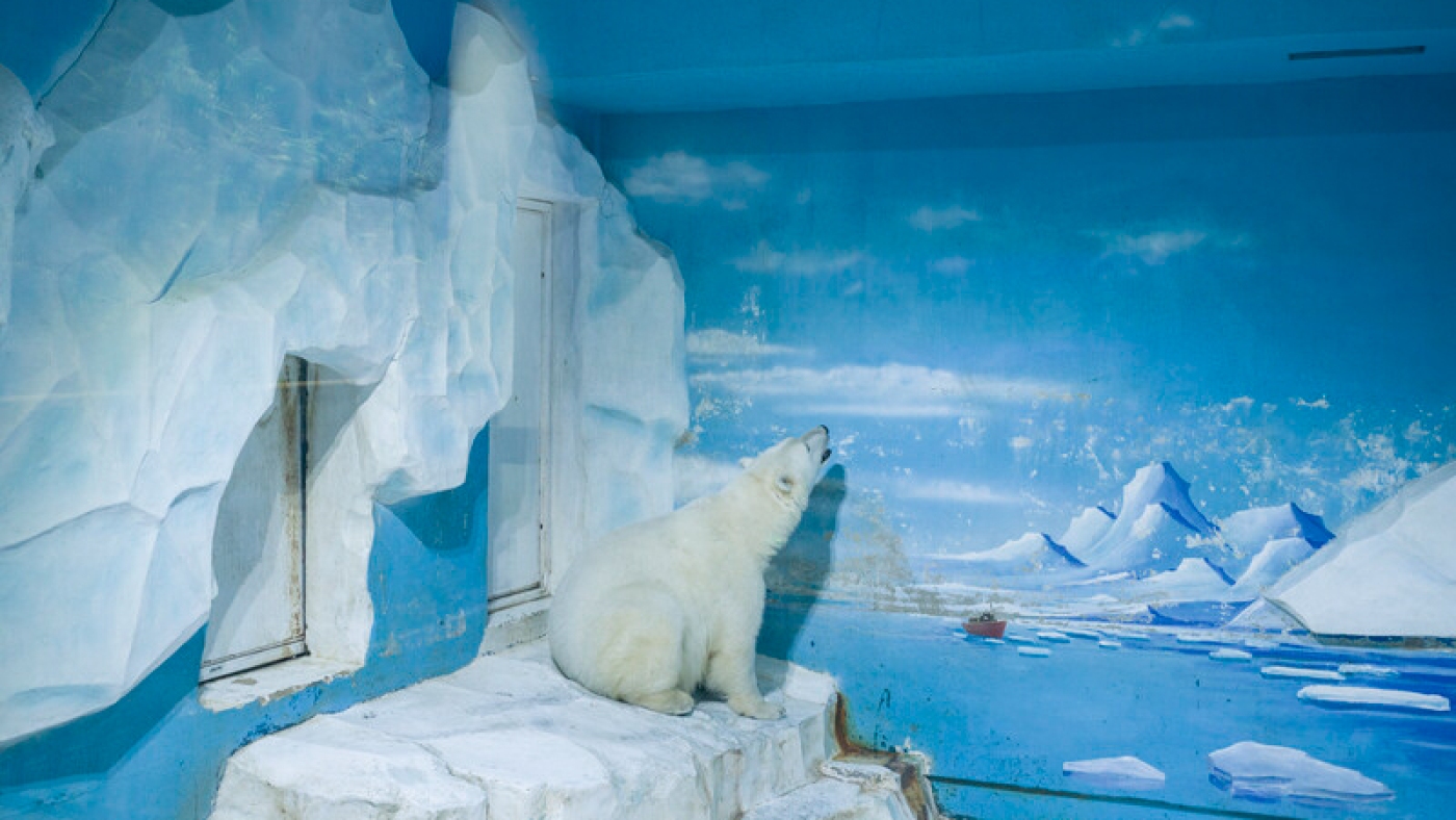 bold women, comfort soups, solo bear : Goats and Soda : NPR