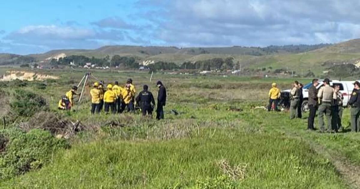 California swimmer believed to be victim of shark is found dead